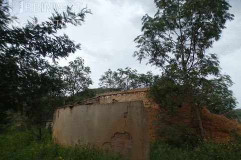 Farm i Monchique, Faro, Monchique - € 930.000 | Ref: AR00436 - PT - foto 47
