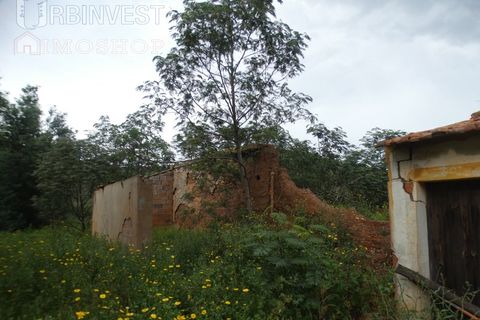 Farm i Monchique, Faro, Monchique - € 930.000 | Ref: AR00436 - PT - foto 48
