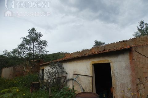 Farm i Monchique, Faro, Monchique - € 930.000 | Ref: AR00436 - PT - foto 49
