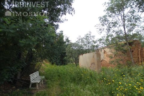 Farm i Monchique, Faro, Monchique - € 930.000 | Ref: AR00436 - PT - foto 50