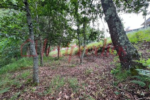 Helårsgrund i Agueda, Aveiro, Agueda - € 39.000 | Ref: AG 4151 - foto 2