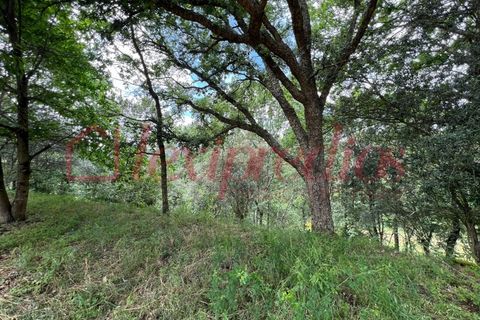 Helårsgrund i Agueda, Aveiro, Agueda - € 39.000 | Ref: AG 4151 - foto 5