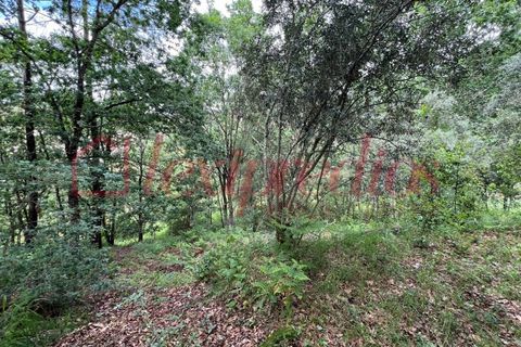 Helårsgrund i Agueda, Aveiro, Agueda - € 39.000 | Ref: AG 4151 - foto 6