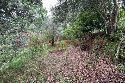 Helårsgrund i Agueda, Aveiro, Agueda - € 39.000 | Ref: AG 4151 - foto 7