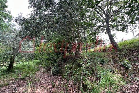 Helårsgrund i Agueda, Aveiro, Agueda - € 39.000 | Ref: AG 4151 - foto 8