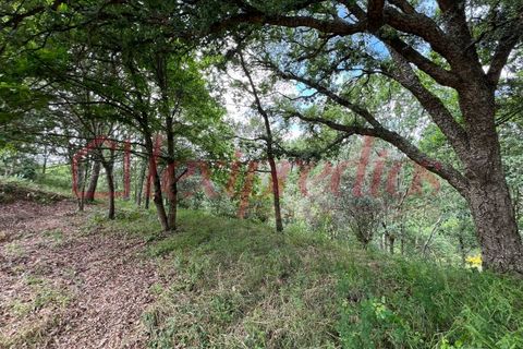 Helårsgrund i Agueda, Aveiro, Agueda - € 39.000 | Ref: AG 4151 - foto 9