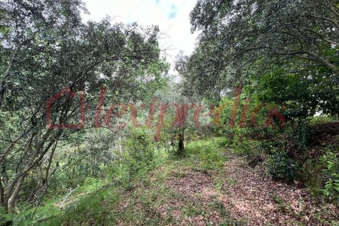 Helårsgrund i Agueda, Aveiro, Agueda - € 39.000 | Ref: AG 4151 - foto 10