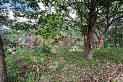 Helårsgrund i Agueda, Aveiro, Agueda - € 39.000 | Ref: AG 4151 - foto 11