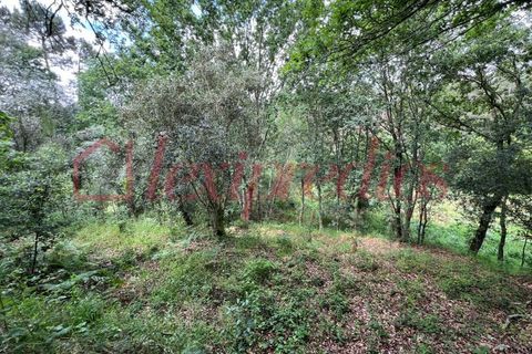 Helårsgrund i Agueda, Aveiro, Agueda - € 39.000 | Ref: AG 4151 - foto 12