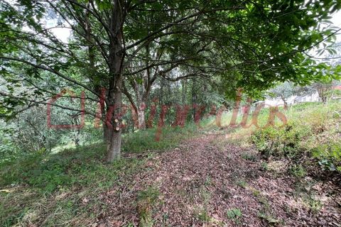 Helårsgrund i Agueda, Aveiro, Agueda - € 39.000 | Ref: AG 4151 - foto 13