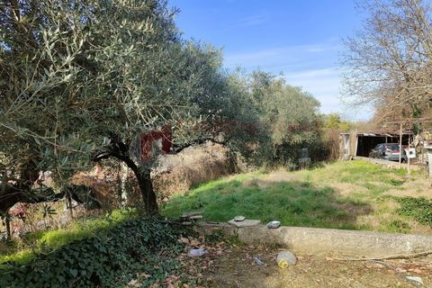 Villa a Rome, Rome, Rome - € 87.000 | Ref: Gallicano87 - foto 4