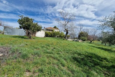 Villa a Pianella, Pescara, Pianella - € 400.000 | Ref: 84848752 - foto 6