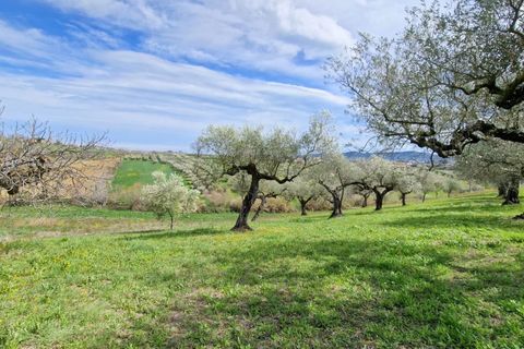 Villa a Pianella, Pescara, Pianella - € 400.000 | Ref: 84848752 - foto 9