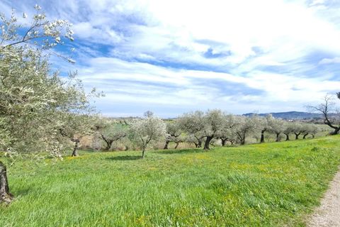 Villa a Pianella, Pescara, Pianella - € 400.000 | Ref: 84848752 - foto 10