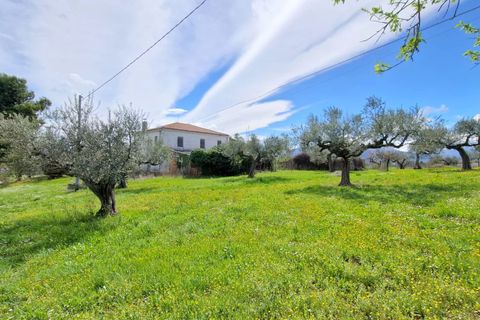 Villa a Pianella, Pescara, Pianella - € 400.000 | Ref: 84848752 - foto 11