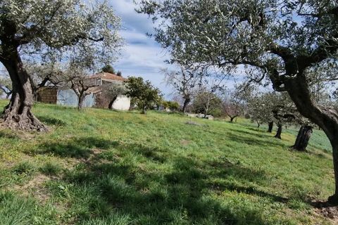 Villa a Pianella, Pescara, Pianella - € 400.000 | Ref: 84848752 - foto 12