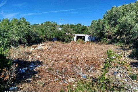 Helårsgrund i Sintra, Lisbon, Sintra - € 2.500.000 | Ref: ptm4307 - foto 1