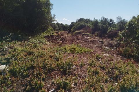 Helårsgrund i Sintra, Lisbon, Sintra - € 2.500.000 | Ref: ptm4307 - foto 2