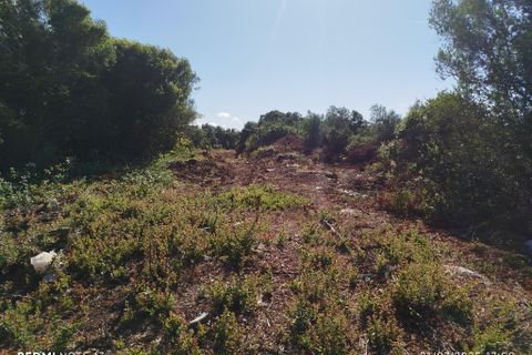 Helårsgrund i Sintra, Lisbon, Sintra - € 2.500.000 | Ref: ptm4307 - foto 3