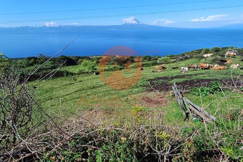 Terra a Velas, Sao Jorge, Velas - € 350.000 | Ref: T931 - foto 4