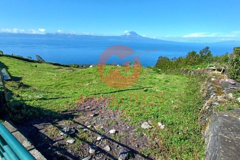 Terra a Velas, Sao Jorge, Velas - € 350.000 | Ref: T931 - foto 5