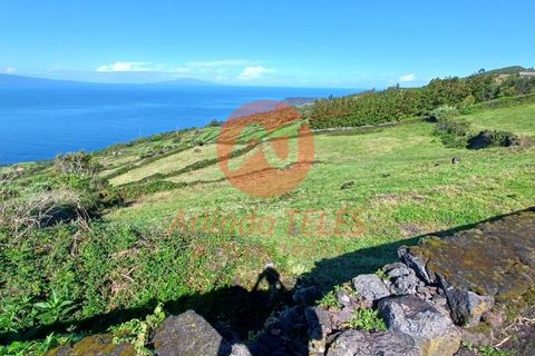 Terra a Velas, Sao Jorge, Velas - € 350.000 | Ref: T931 - foto 6