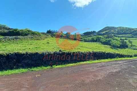 Terra a Velas, Sao Jorge, Velas - € 350.000 | Ref: T931 - foto 7