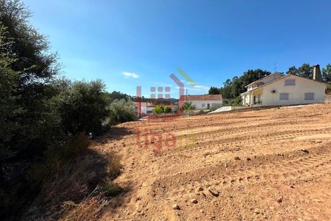Helårsgrund i Ourem, Santarem, Ourem - € 37.500 | Ref: 1265 - foto 4