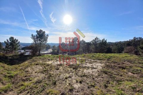 Helårsgrund i Ourem, Santarem, Ourem - € 45.000 | Ref: 1252 - foto 1