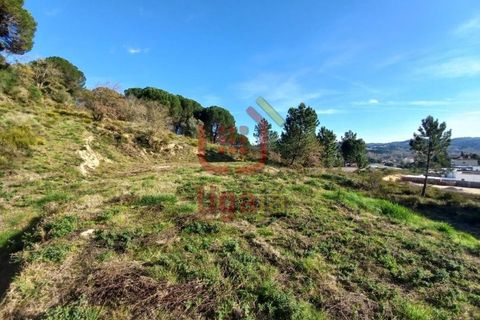 Helårsgrund i Ourem, Santarem, Ourem - € 45.000 | Ref: 1252 - foto 2