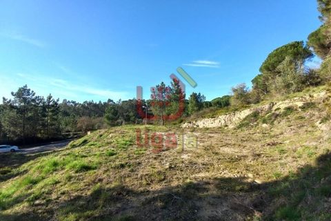 Helårsgrund i Ourem, Santarem, Ourem - € 45.000 | Ref: 1252 - foto 4