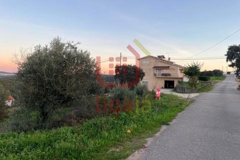 Helårsgrund i Ourem, Santarem, Ourem - € 25.000 | Ref: 1237 - foto 1