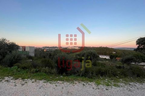 Helårsgrund i Ourem, Santarem, Ourem - € 25.000 | Ref: 1237 - foto 2