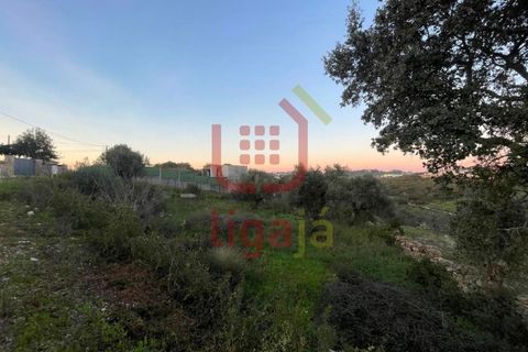 Helårsgrund i Ourem, Santarem, Ourem - € 25.000 | Ref: 1237 - foto 3