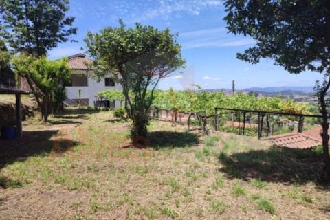 Farm i Roriz, Porto, Roriz - € 450.000 | Ref: 5780 - foto 4
