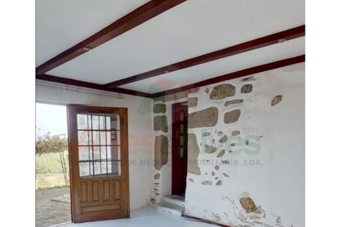 Farm i Roriz, Porto, Roriz - € 450.000 | Ref: 5780 - foto 15