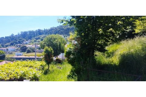 Farm i Roriz, Porto, Roriz - € 450.000 | Ref: 5780 - foto 23