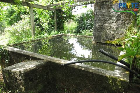 Farm i Serta, Castelo Branco, Serta - € 219.000 | Ref: VF295 - foto 5