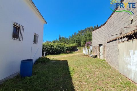 Farm i Serta, Castelo Branco, Serta - € 219.000 | Ref: VF295 - foto 26
