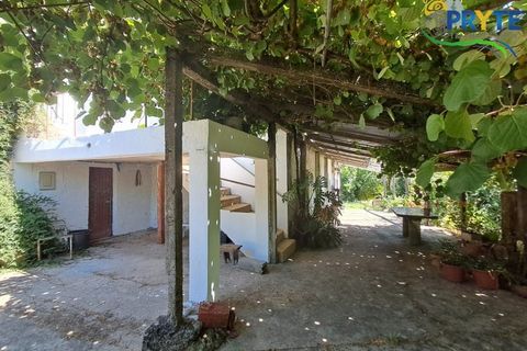 Farm i Serta, Castelo Branco, Serta - € 219.000 | Ref: VF295 - foto 28