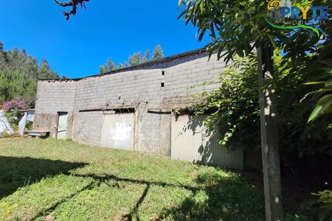 Farm i Serta, Castelo Branco, Serta - € 219.000 | Ref: VF295 - foto 29