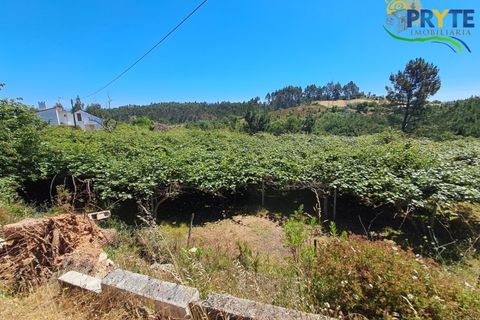 Farm i Serta, Castelo Branco, Serta - € 219.000 | Ref: VF295 - foto 30