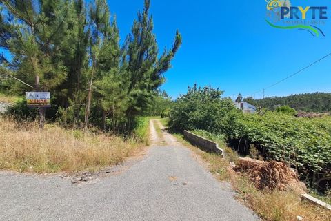 Farm i Serta, Castelo Branco, Serta - € 219.000 | Ref: VF295 - foto 31