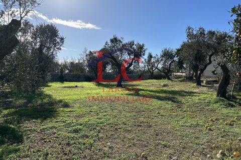 Villa i Melendugno, Lecce, Melendugno - € 170.000 | Ref: cod.053 - foto 27