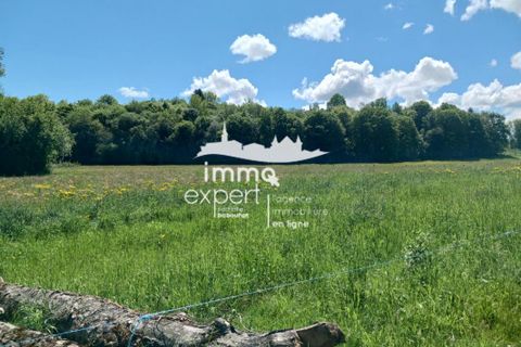 Terra a Dompaire, Vosges, Dompaire - € 42.000 | Ref: 683 - foto 2