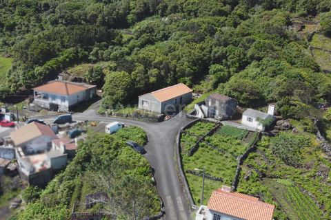 Villa a Lajes do Pico, Pico, Lajes do Pico - € 75.000 | Ref: 374240128 - foto 10
