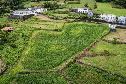 Helårsgrund i Sao Roque do Pico, Pico, Sao Roque do Pico - € 89.000 | Ref: 374240142 - foto 2
