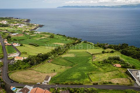 Helårsgrund i Sao Roque do Pico, Pico, Sao Roque do Pico - € 89.000 | Ref: 374240142 - foto 4