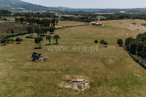 Farm i Seia, Guarda, Seia - € 320.000 | Ref: 382240077 - foto 8