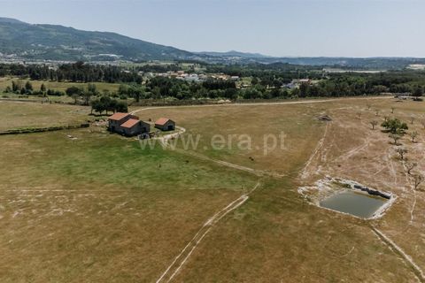 Farm i Seia, Guarda, Seia - € 320.000 | Ref: 382240077 - foto 9